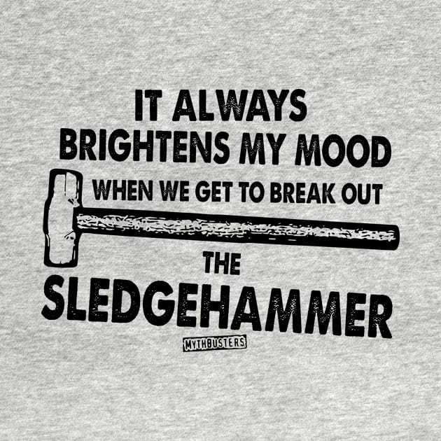 MythBusters it always brightens my mood the sledgehammer by Ac Vai